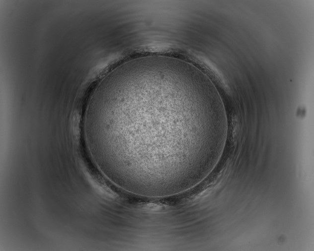 X0000101470542200807141353