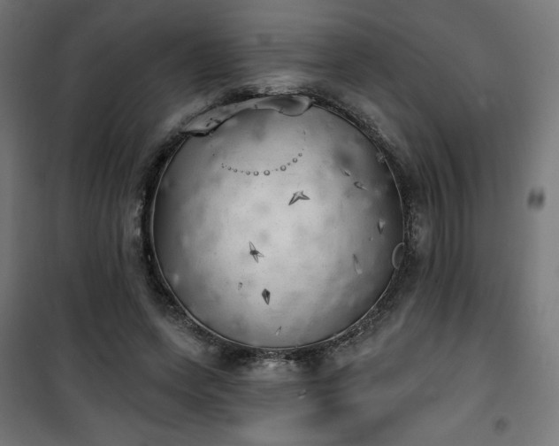 X0000101470543200807141353
