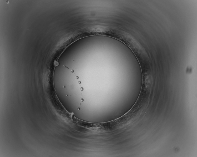 X0000101470544200807141353