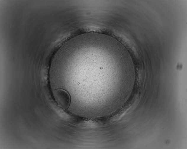 X0000101470545200807141353