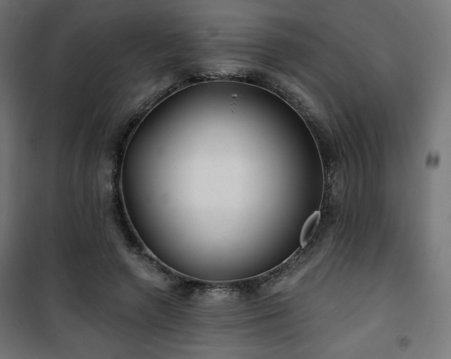 X0000101470546200807141353