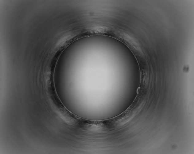 X0000101470548200807141353