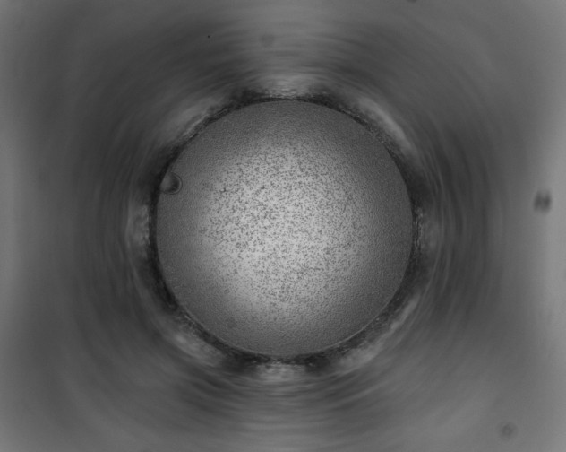 X0000101470549200807141353