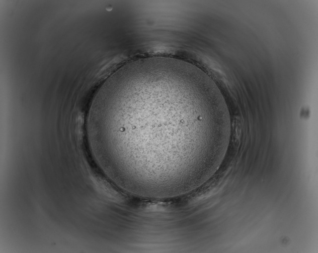 X0000101470550200807141353