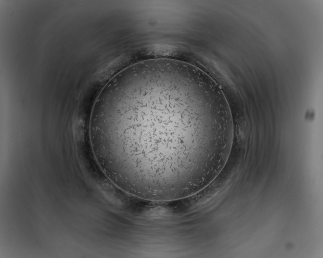 X0000101470551200807141353