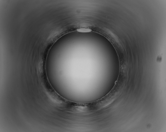 X0000101470552200807141353