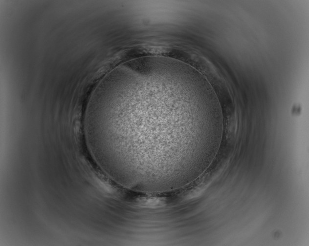 X0000101470553200807141353