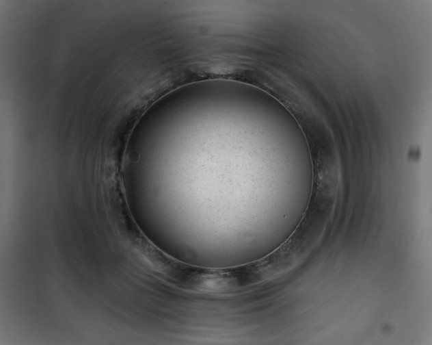 X0000101470555200807141353