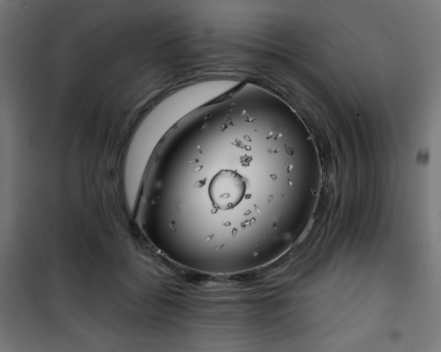 X0000101470556200807141353