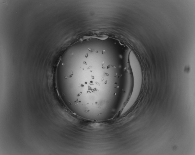 X0000101470558200807141353