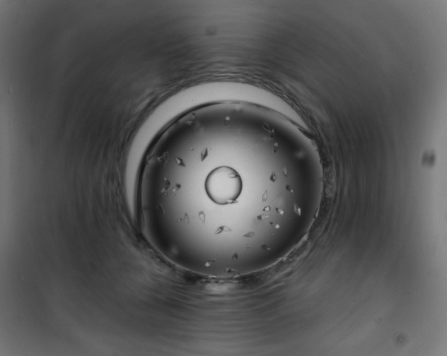 X0000101470560200807141353