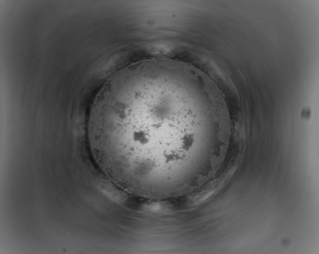 X0000101470561200807141353