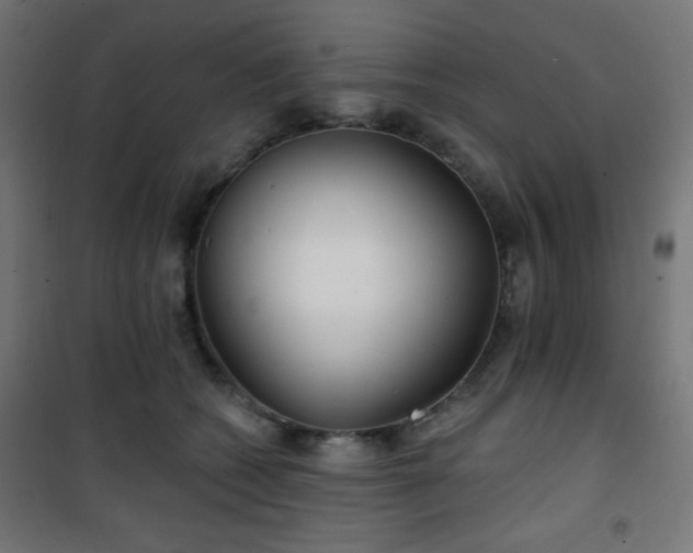 X0000101470562200807141353