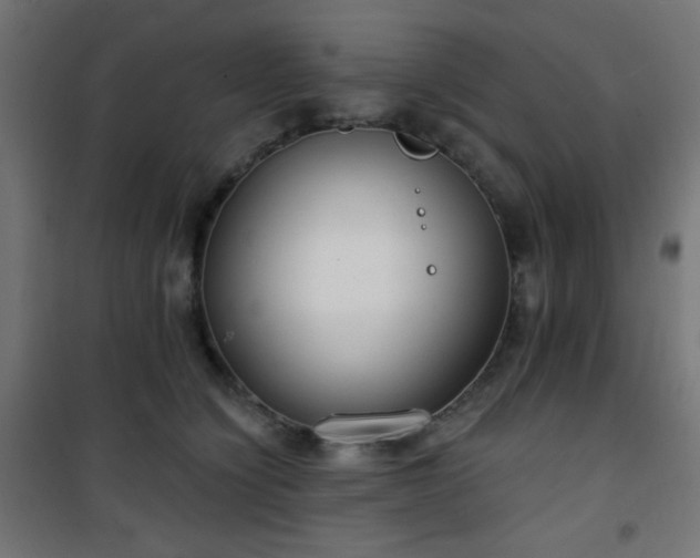 X0000101470564200807141353