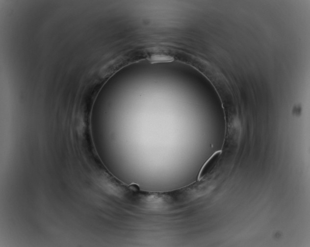 X0000101470566200807141353