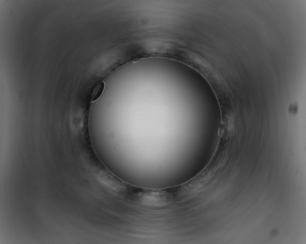 X0000101470567200807141353