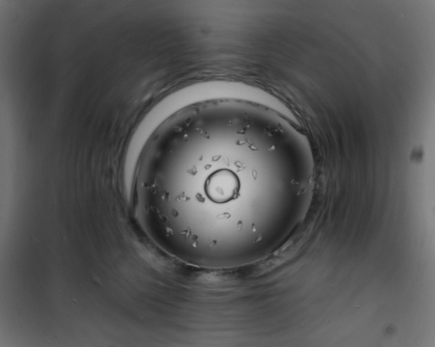 X0000101470568200807141353
