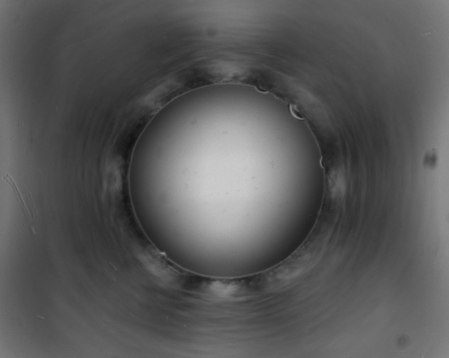 X0000101470570200807141353