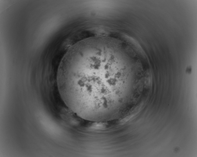 X0000101470573200807141354