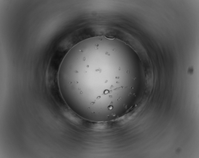 X0000101470574200807141354