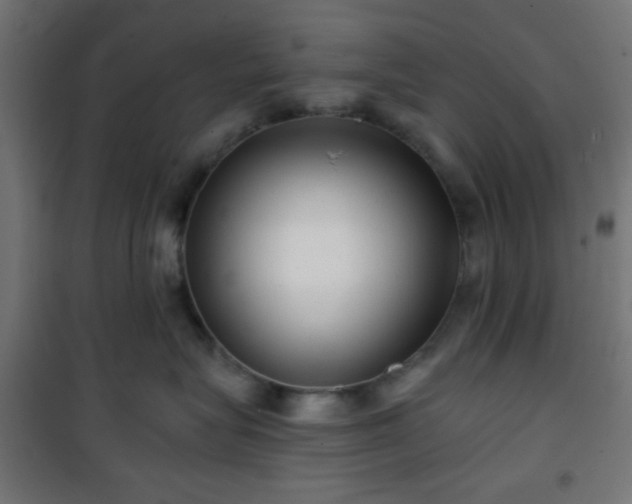 X0000101470575200807141354