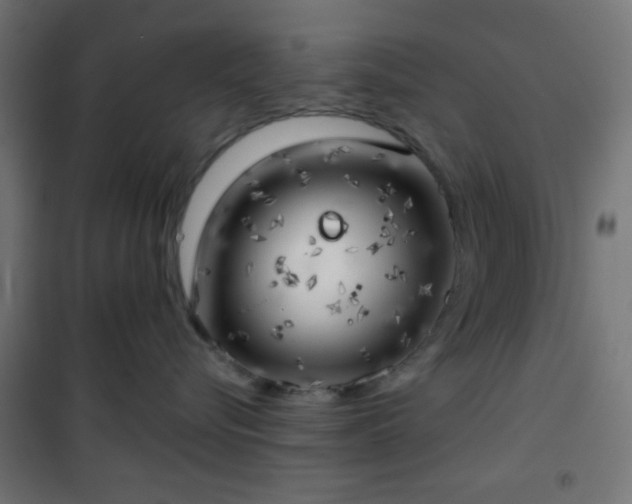 X0000101470576200807141354