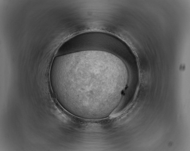 X0000101470577200807141353