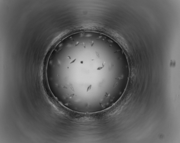 X0000101470578200807141353