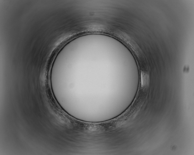 X0000101470579200807141353