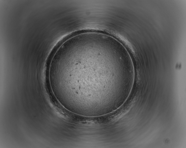 X0000101470580200807141353