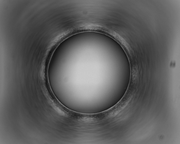 X0000101470581200807141353