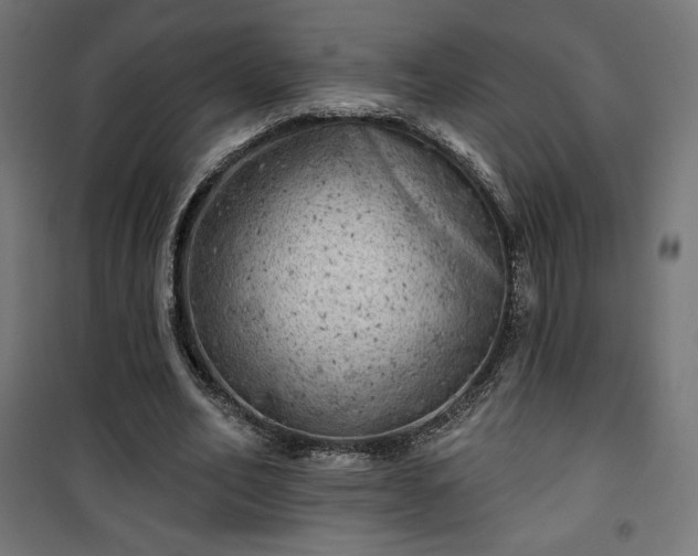 X0000101470582200807141353