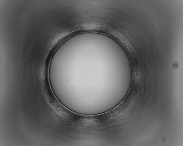 X0000101470583200807141353