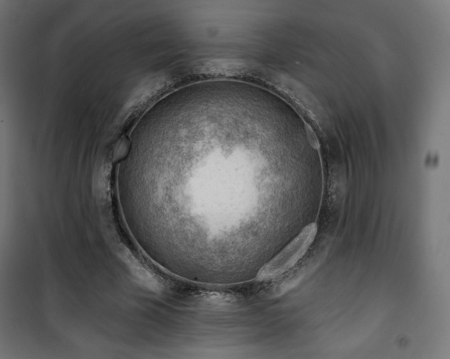 X0000101470585200807141353