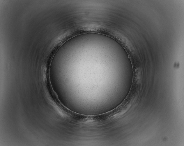 X0000101470589200807141353