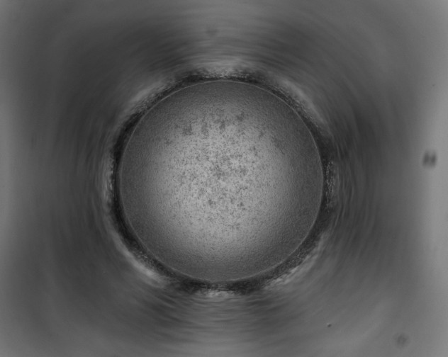 X0000101470590200807141353