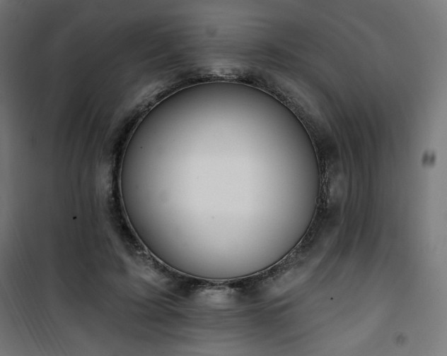 X0000101470595200807141352