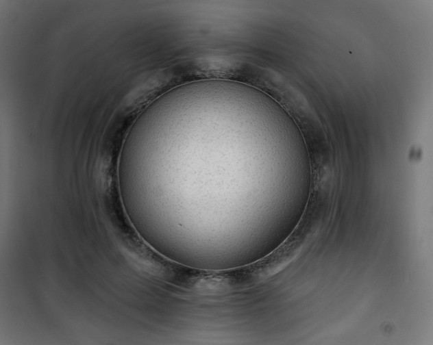 X0000101470599200807141352