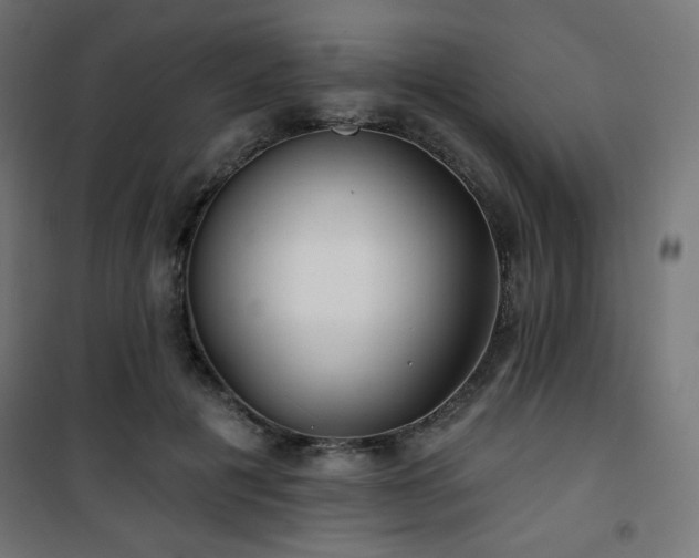 X0000101470601200807141352