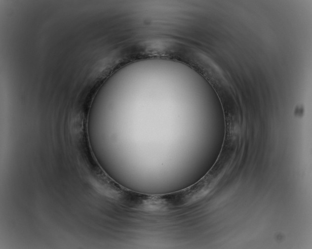 X0000101470603200807141352