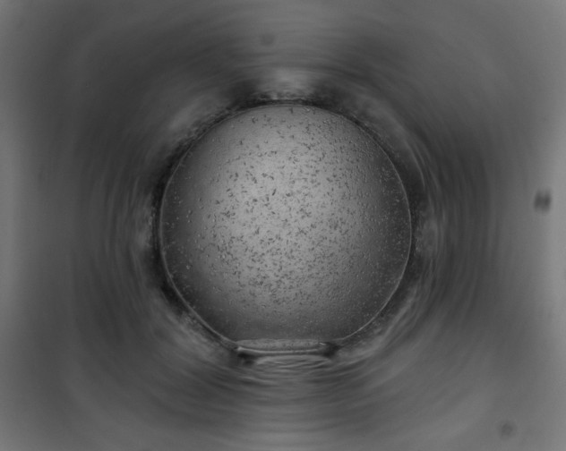 X0000101470604200807141352