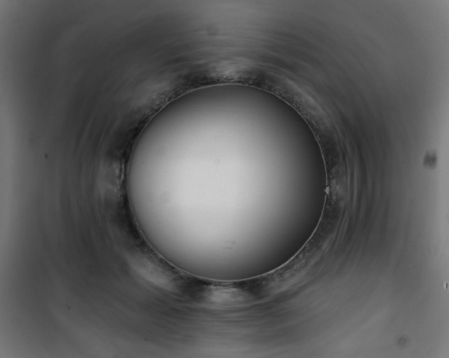 X0000101470605200807141352