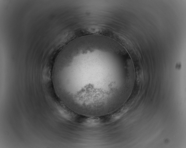 X0000101470606200807141352