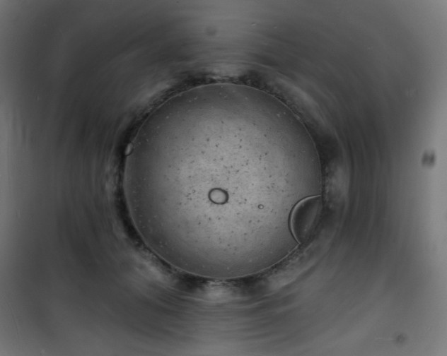 X0000101470608200807141352