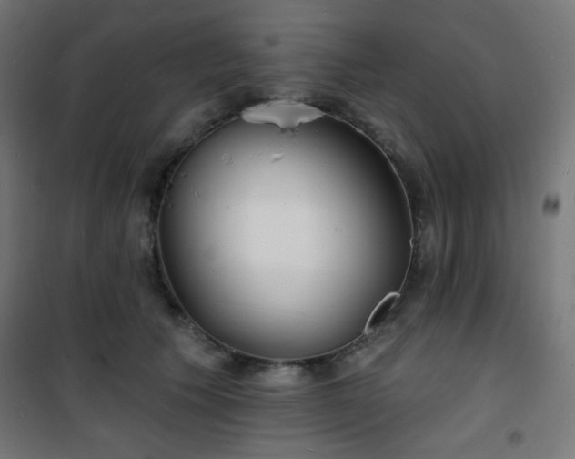 X0000101470609200807141352