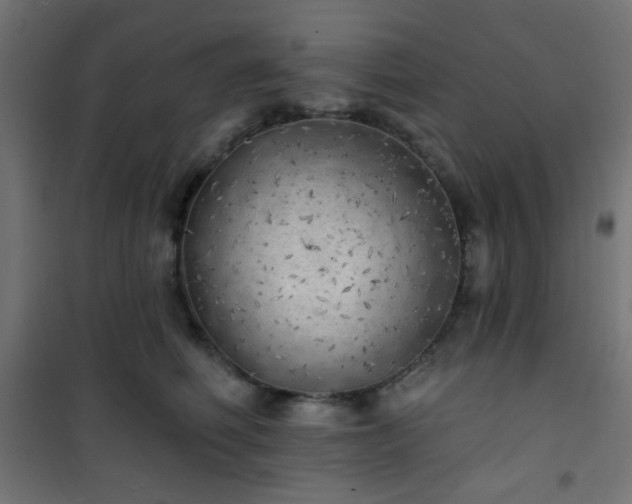 X0000101470614200807141352