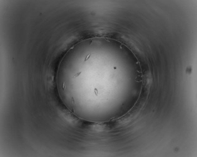 X0000101470615200807141352