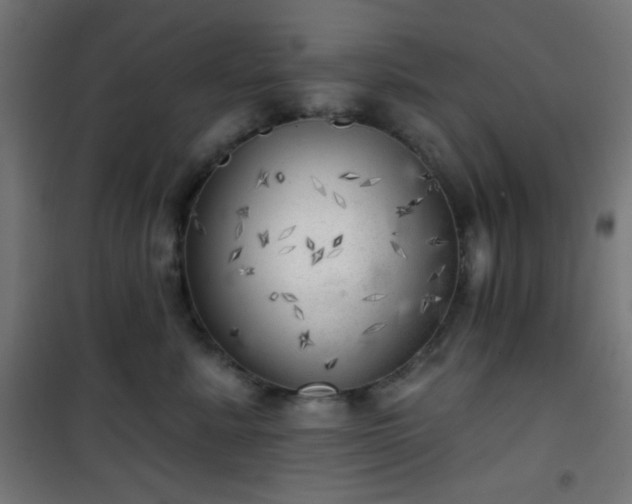 X0000101470619200807141352
