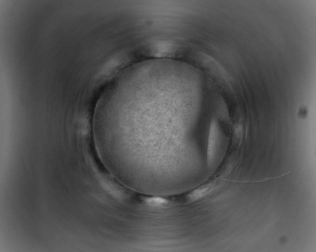 X0000101470620200807141352