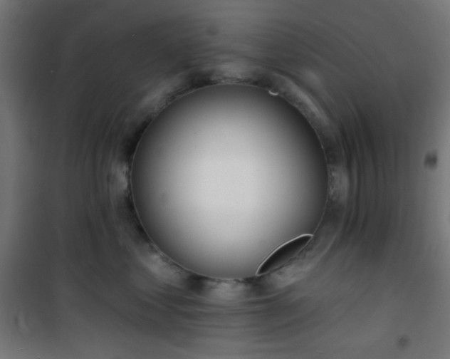 X0000101470621200807141352